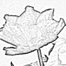 Pencil Sketch 010